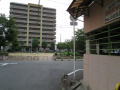 13-西側道路